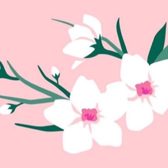 Meet your Posher, Elizabeth - Picture 1 of 1